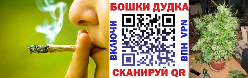 Купить закладку ГАШИШ  Кокаин  Меф  СОЛЬ  Каннабис  Новосиль