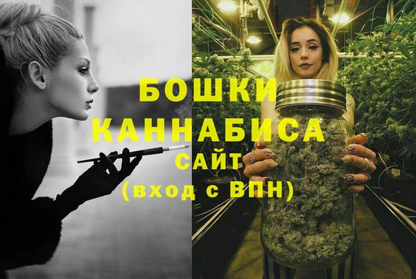 МДПВ Дмитров