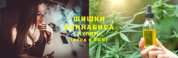 МДПВ Дмитров