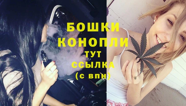 МДПВ Дмитров