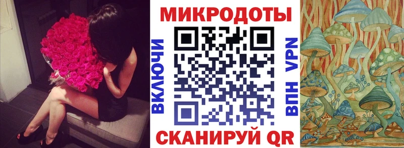 Псилоцибиновые грибы MAGIC MUSHROOMS  Купить где  Новосиль 